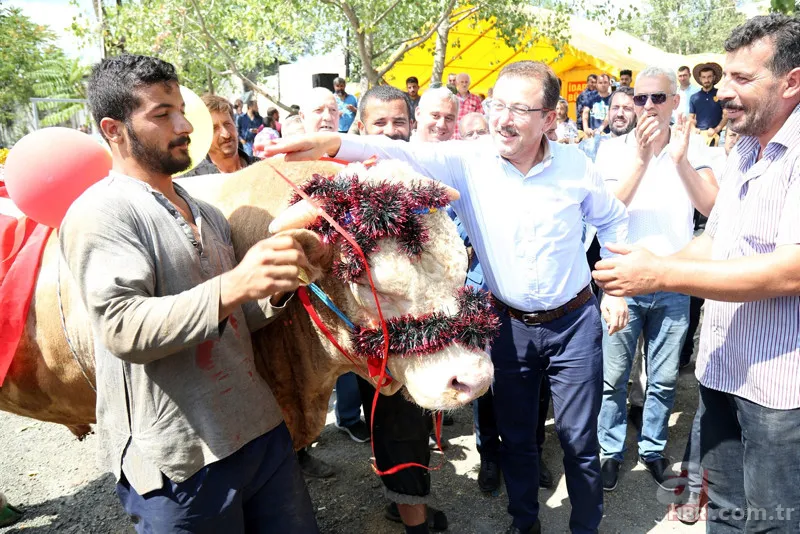 KURBANLIK FİYATLARI 2023 | Büyükbaş, Küçükbaş hisseleri 4.990 TL... 16-19 kg kemikli kemiksiz et kapıya teslim! A101, Migros, CarrefourSA... 2