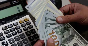 Çakallar puslu havayı sever!