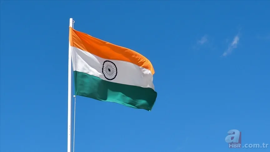 Kedi nüfusu en yüksek ülke açıklandı: ABD ilk sırada Türkiye ise… 10