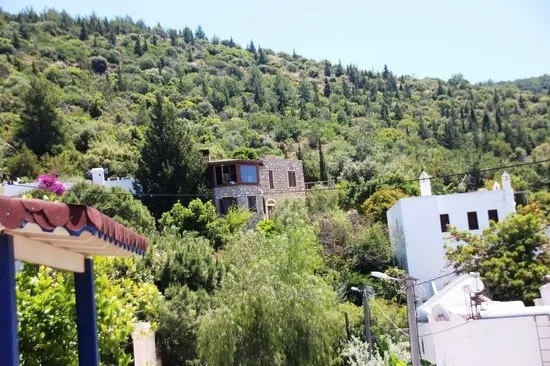 Firari Can Dündar’ın kaçak villasının yıkım tarihi belli oldu! Hazine arazisini işgal ettiği ortaya çıkmıştı