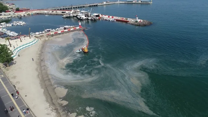 Son dakika: Kritik önerge TBMM’de kabul edildi! Denizlerdeki müsilaj sorunu için Meclis Araştırma Komisyonu kuruldu