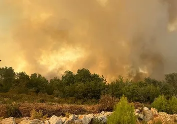 6 ilde korkutan orman yangını! Havadan ve karadan müdahale ediliyor
