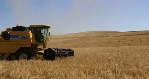 Tahıl koridoru için İstanbul Zirvesi!