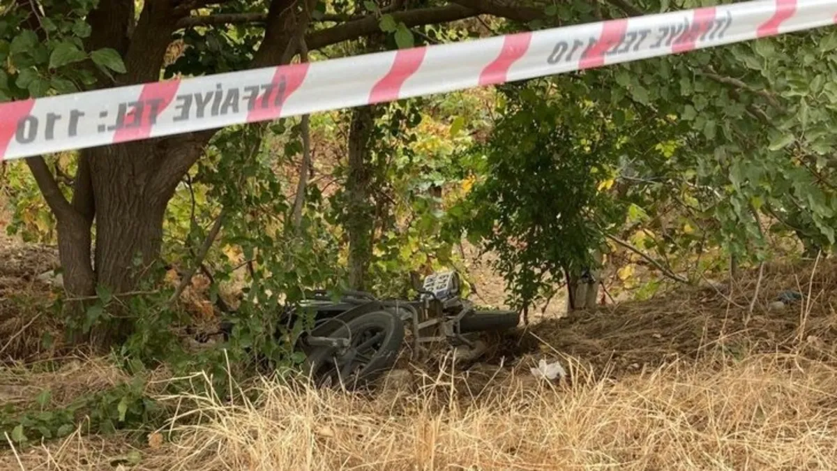 Manisa'da kestiği ağacın altında kalan kişi öldü