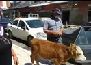 Türkiye ağzı açık izledi!