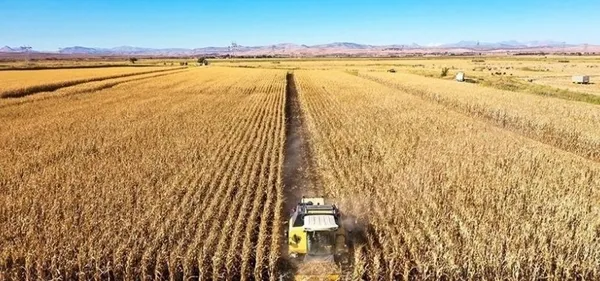 Tarım ve Orman Bakanlığından 300 milyon TL’lik hibe desteği! Bakan İbrahim Yumaklı: Üretimin ve üreticimizin yüzyılı olacak