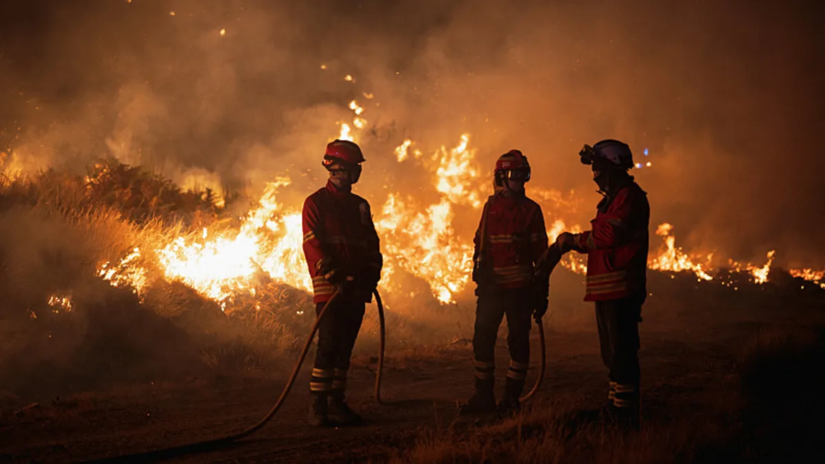 İspanya ve Portekiz orman yangınlarını söndürmek için seferber oldu