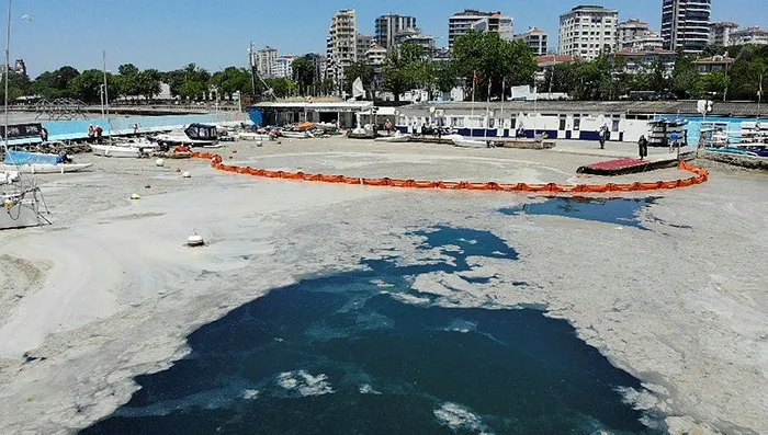 Son dakika: Üreticilere 753 milyon liralık destek! Tarım ve Orman Bakanı Bekir Pakdemirli açıkladı: Bu haftadan itibaren başlıyoruz - 2