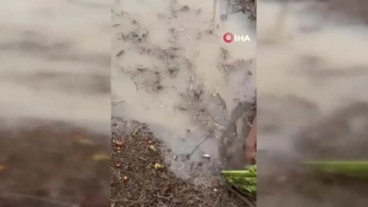 Sağanak, üreticiyi vurdu