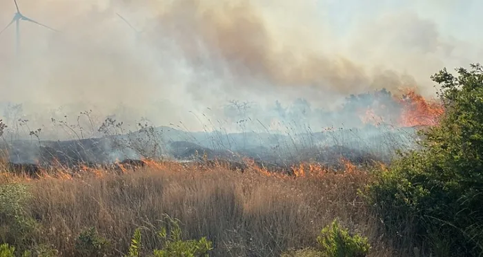 izmirde-3-ilcede-yangin-havadan-ve-karadan-mudahale-suruyor-1719678221870.jpg İzmir'deki 3 yangın kontrol altına alındı! Bakan Yumaklı yangınların çıkış nedenini açıkladı - 18