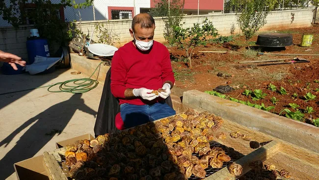Adana’da eşinin çamaşır ipinde hurma kurutan girişimci tesis kuracak - 6