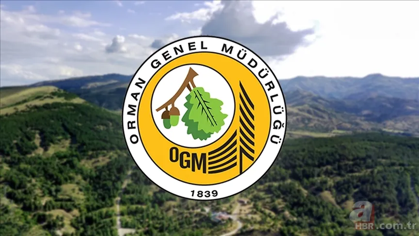 OGM işçi alımı sonuçları ne zaman? 496 sözleşmeli personel alımı takvimi 1