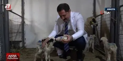 Görüntüler Türkiye’den... İki farklı ilde ilginç şoke eden doğumlar! Görenler gözlerine inanamadı