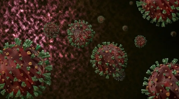 yeni-virus-alarmi-o-ulkede-bas-gosterdi-covid-19dan-daha-tehlikeli-1721583673205.jpg Hindistan'da Nipah virüsü nedeniyle 1 kişi hayatını kaybetti.