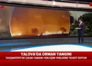 Yalovada korkutan orman yangını!