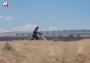 Bursa'da 10 bin dönümlük arazi alevlere teslim oldu