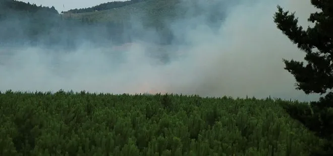 Kartal’daki Aydos Ormanı’nda çıkan yangın söndürüldü