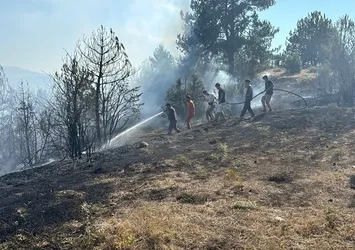 Bolu'da çalılık arazide yangın! Evlere sıçramadan söndürüldü