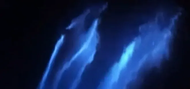 Yunusların nadir görülen ışık saçan gösterisi kamerada