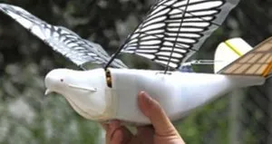 Yeni nesil robot kuşlar göreve başladı