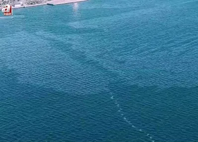 İzmir Körfezi’nde çevre kirliliği