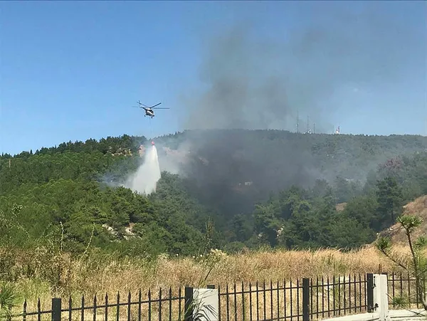 Son dakika: Çanakkale'de orman yangını - 2