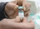 TURKOVAC aşısında yeni gelişme