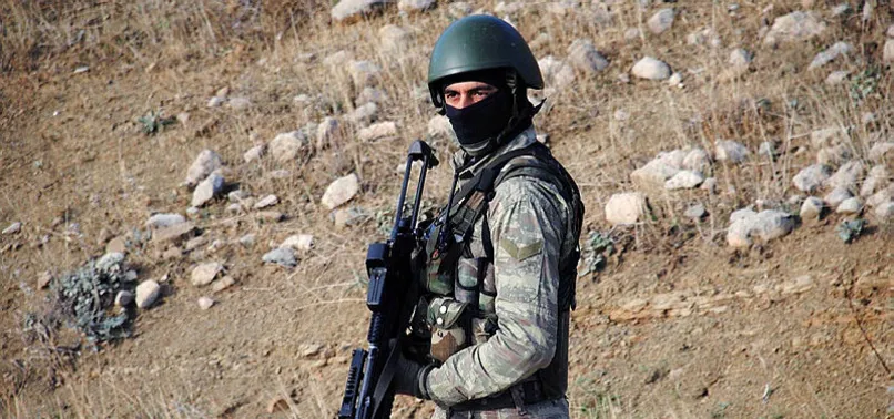 PKK'ya sonbahar darbesi