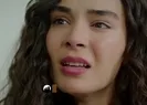 Hercai 22. yeni bölüm fragmanı yayınlandı | Hercai yeni fragman izle