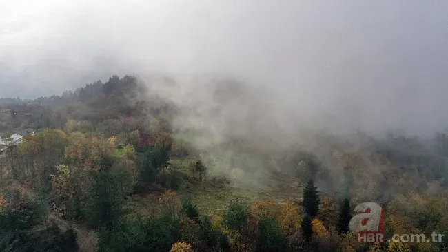 Kastamonu’da anne ve oğul sırra kadem bastı! Görgü tanıkları konuştu: Köyden bir araç aldı 2