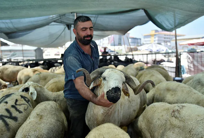 Kovid-19 kurban etinden insana bulaşır mı? İşte yanıtı - 2