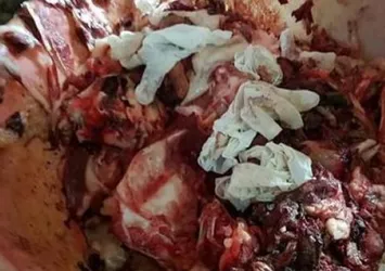 Söke'de 200 kilogram domuz eti ele geçirildi