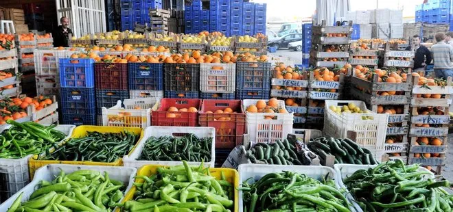 Yaş meyve ve sebze sektöründe Rusya sevinci