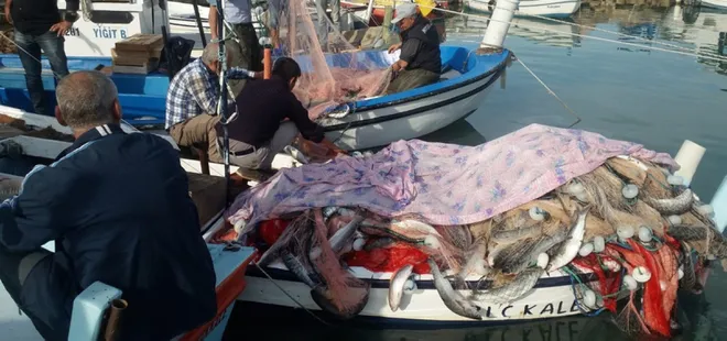 Lüfer avından 1,5 ton kefalle döndü