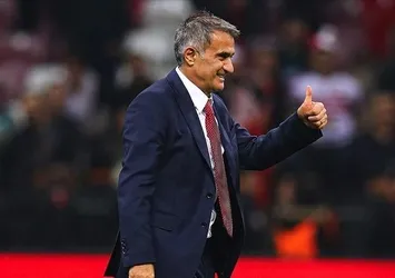 Milli Takım'dan ayrılan Şenol Güneş'e Süper Lig ekibi Başakşehir'den teklif
