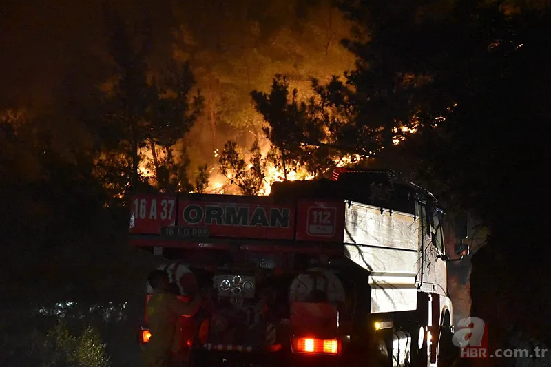 Sakarya’da ciğerlerimiz yanıyor! Hasarın boyutu gün ağarınca ortaya çıktı 15