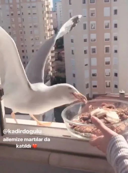 Neslihan Atagül’den kavga iddialarına fotoğraflı yanıt