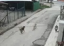 Vahşet! Otomobille gelip ateş açtı
