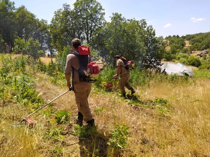 son-dakika-diyarbakirda-dev-operasyon-araziye-gizlenmis-1-tondan-fazla-uyusturucu-ele-gecirildi-1594372058516.jpg Son dakika: Diyarbakır'da dev operasyon! Araziye gizlenmiş 1 tondan fazla uyuşturucu ele geçirildi - 3