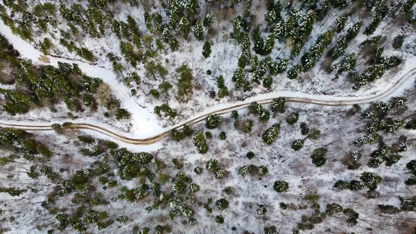 Meteoroloji'den son dakika uyarısı! İstanbul'a kar geliyor! Hangi illere kar yağacak | İşte 15 Aralık İstanbul, Ankara, İzmir hava durumu - 10