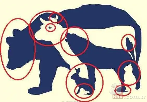 Zeka testi: Resimdeki 10 hayvan nerede? 832 kişiden sadece 9'u bulabildi 5