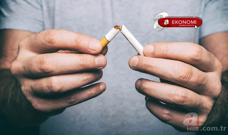 JTI zamlı sigara fiyatları güncel liste: 16 Mart Winston, Camel, Monte Carlo, LD sigara fiyatı ne kadar, kaç lira oldu? 1