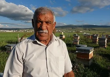 Ardahan'da 450 ton bal üretildi