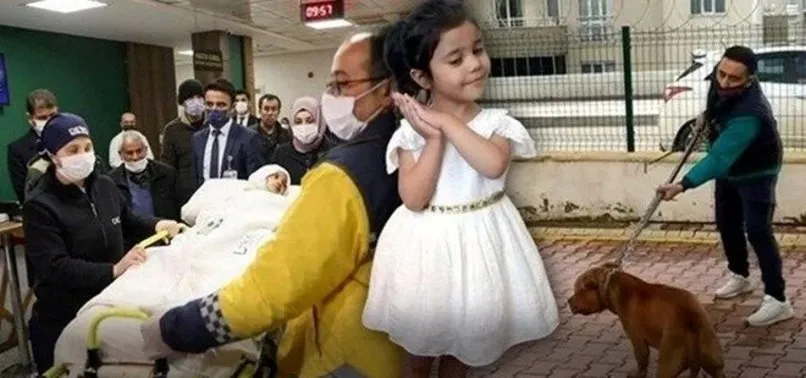 Son dakika: Gaziantep’te küçük Asiye’ye pitbull saldırısı davasında tutuklu sanıklara tahliye
