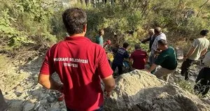 Hakkari’de trafik kazası: 1 yaralı