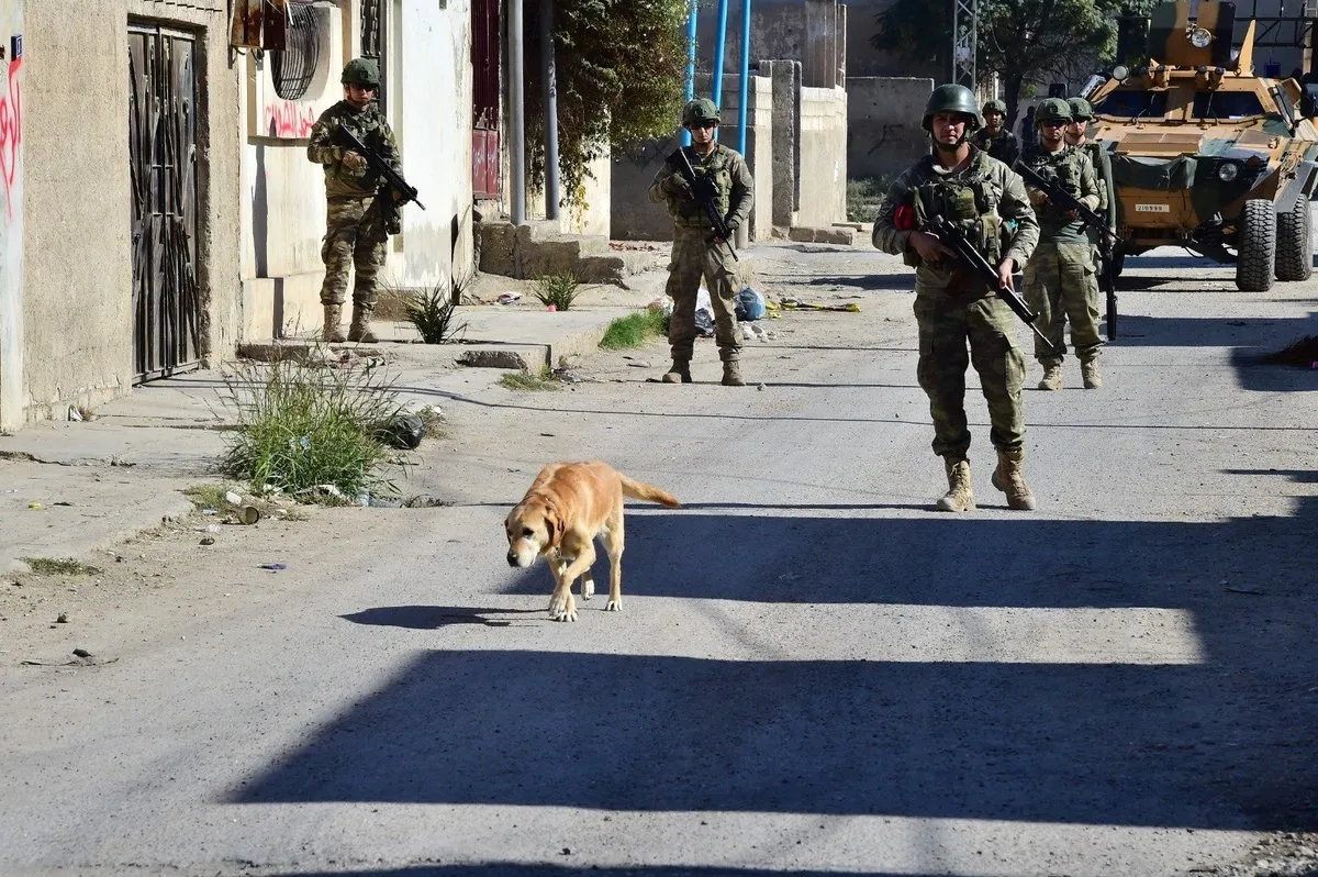 Milli Savunma Bakanlığı: Komandolarımız 923 EYP ve 337 mayın etkisiz hale getirdi