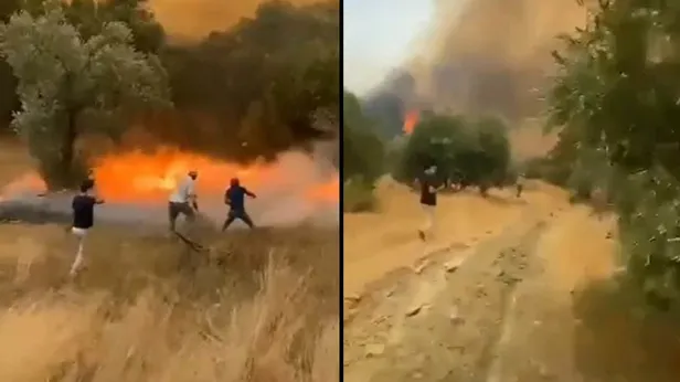 Türkiye orman yangınları son durum: Yangınlar söndürüldü mü? 3 Ağustos orman yangınları hangi illerde devam ediyor? - 5