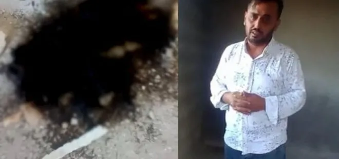 Korkunç olay: “Hatay’da 5 yavru köpek yakılarak öldürüldü”