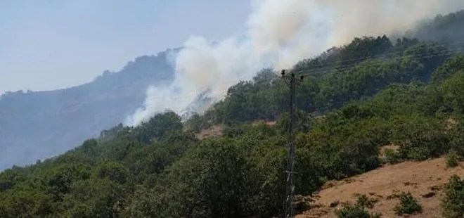 Son dakika: Bingöl ve Tunceli’deki yangınlar hakkında flaş açıklama