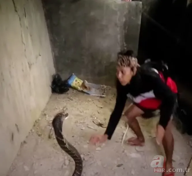 Eve giren kobra yılanıyla ölüm dansı yaptı! Tansiyon çıkaran anlar... 11